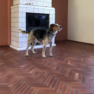 Terracotta COTTO CLASSIC 24x4 GETROMMELT