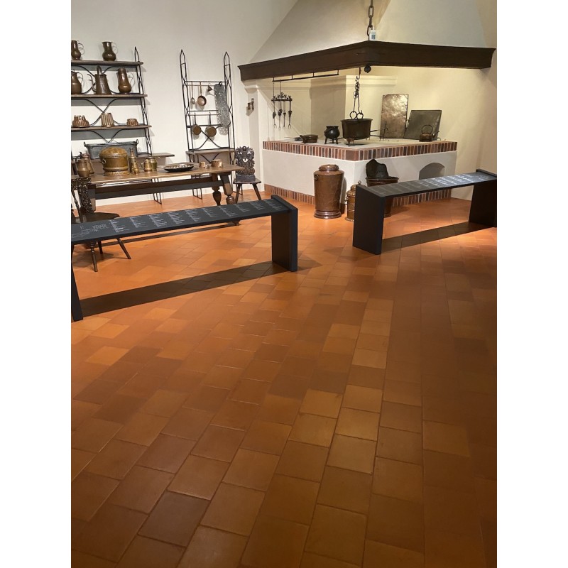 Terracotta COTTO CLASSIC 20x20, Schloss Pieskowa Skala, Polen