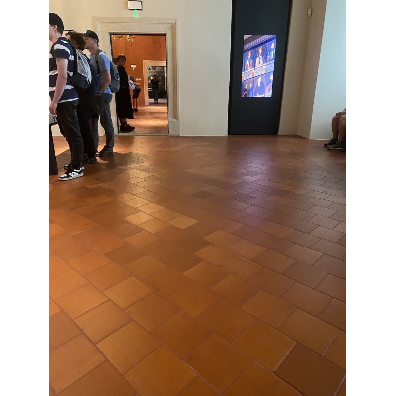 Terracotta COTTO CLASSIC 20x20, Schloss Pieskowa Skala, Polen