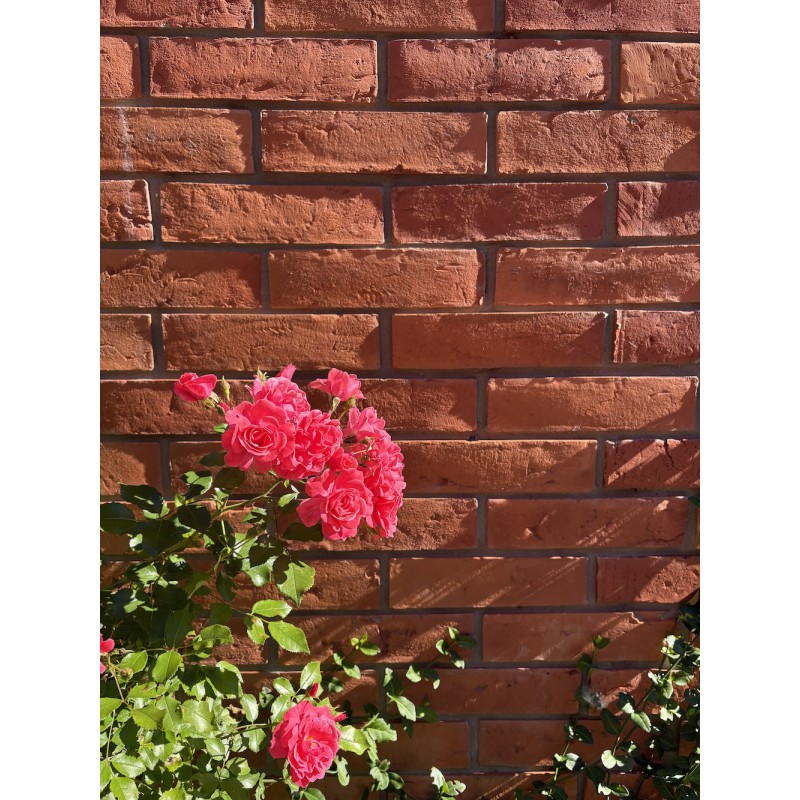 Klinkerriemchen Altmauer