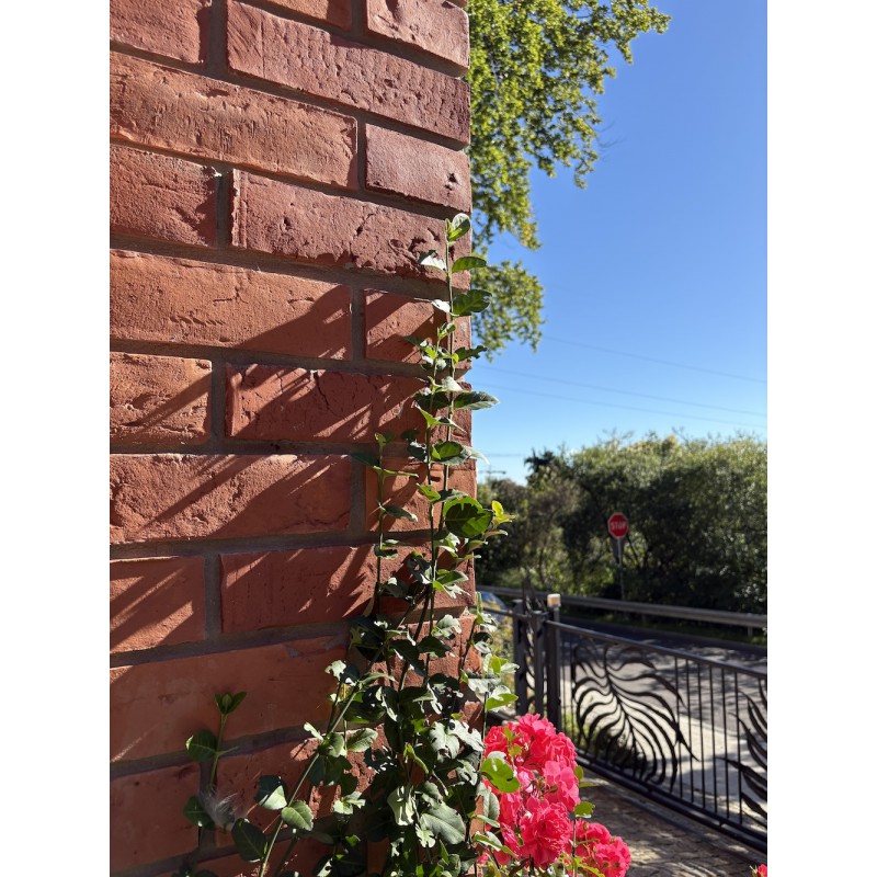 Klinkerriemchen Altmauer