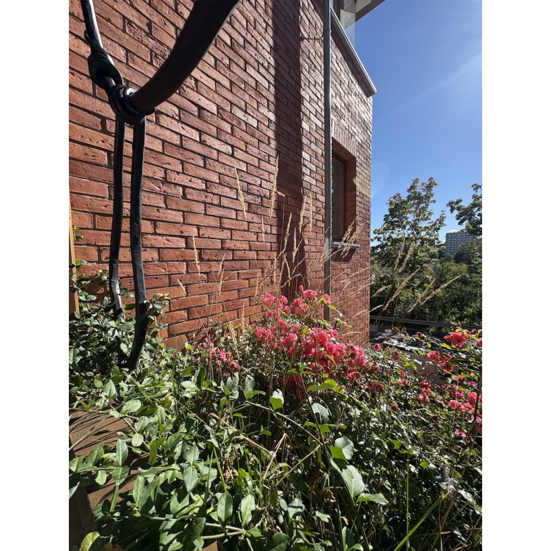 Klinkerriemchen Altmauer