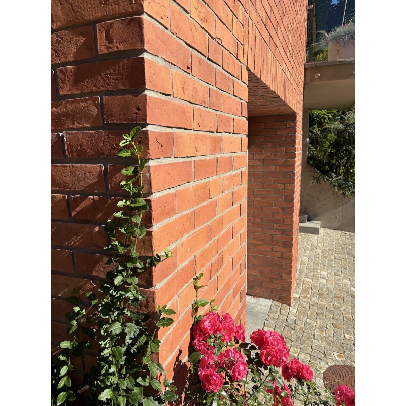 Altmauer Eckriemchen