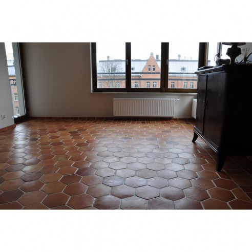 Terracotta COTTO CLASSIC HEXAGON, Wohnzimmer