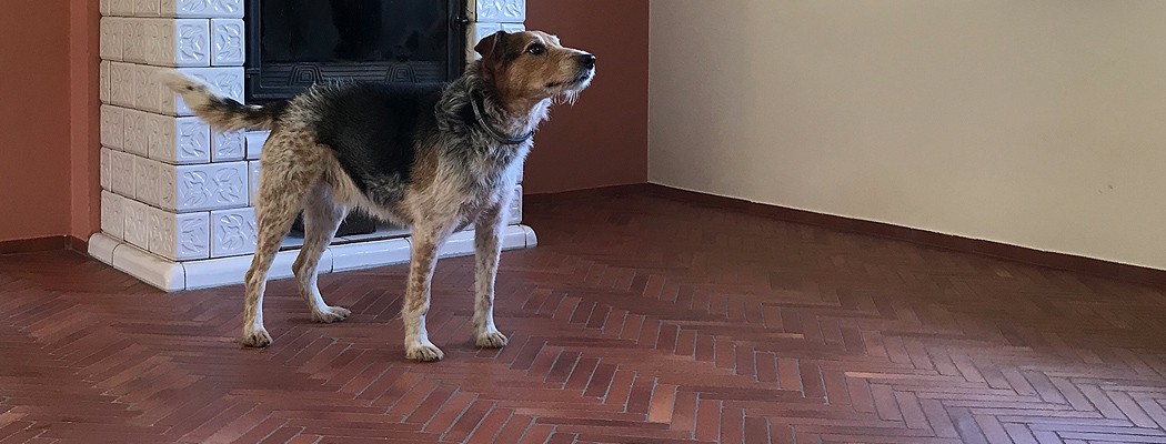 Cotto Fliesen Classic | craftManufactory.de